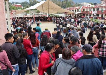 Xiutetelco impulsa el desarrollo sustentable: se entregan 30 mil pinos y 5 mil plantas de higo